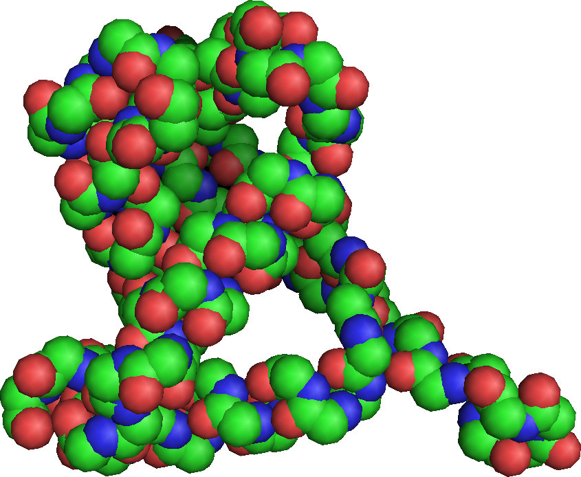 蛋白質-RNA分子動力學