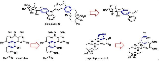 上海有機所含多取代芳環的天然產物全合成研究獲係列進展