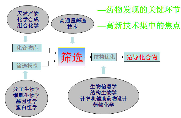 藥物篩選模型流程圖