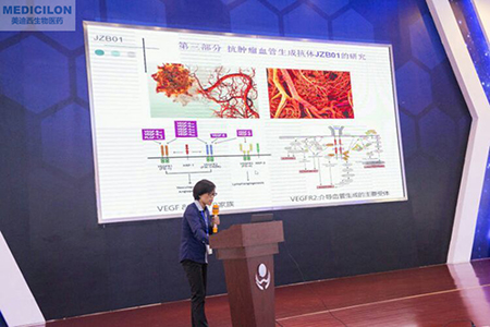 中國藥科大學張娟副教授作抗腫瘤血管生成抗體JZB01研究報告