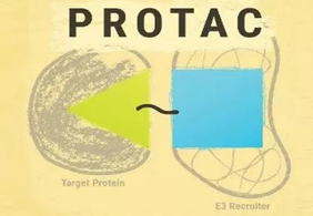 熱點前沿:PROTAC初露鋒芒，SD-36對抗腫瘤效果卓越