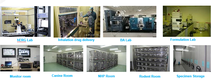 hjc黄金城毒理研究部設備