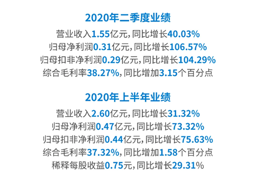 2020年二季度業績