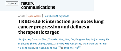 Nature|非小細胞肺癌治療新方案：靶向降解EGFR