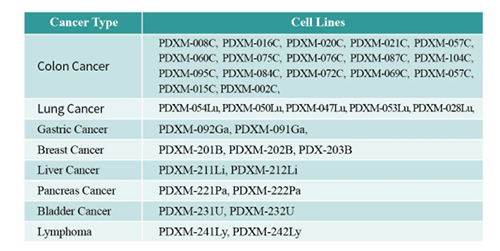 PDX小鼠腫瘤模型