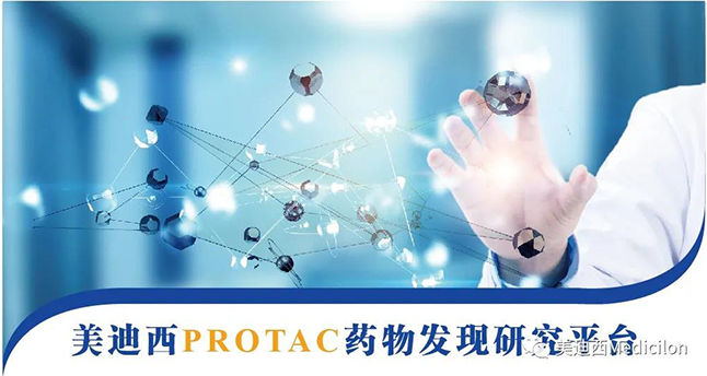 hjc黄金城PROTAC藥物發現研究平台