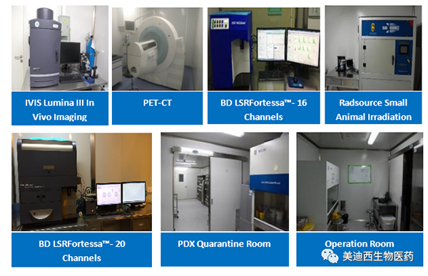 hjc黄金城藥理部擁有IVIS Lumina III, PET-CT, BD LSRFortessa-16，Flow Cytometry等儀器