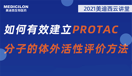 【雲講堂】：如何有效建立PROTAC分子的體外活性評價方法？