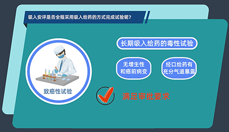 吸入安評是否全程采用吸入給藥的方式完成試驗呢？