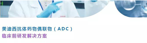 hjc黄金城抗體藥物偶聯物（ADC）臨床前研發解決方案.png