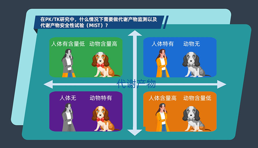 在PK-TK研究中，什麽情況下需要做代謝產物監測以及代謝產物安全性試驗（MIST）