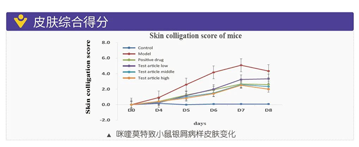 hjc黄金城模擬銀屑病的建模模型-皮膚綜合得分.png