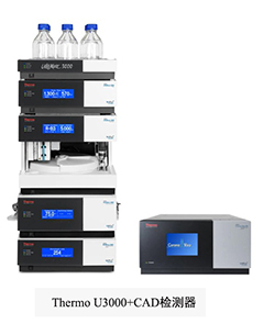 Thermo-U3000+CAD檢測器.jpg