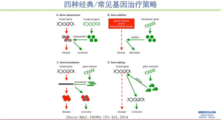 圖1-四種經典常見基因治療策略.jpg