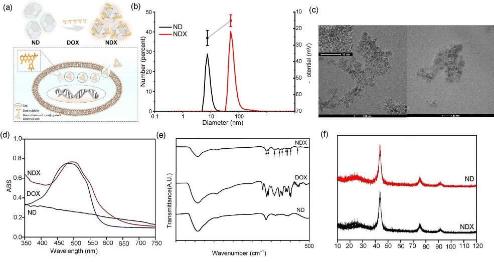 Characterization-of-ND,-DOX-and-NDX-complex.jpg