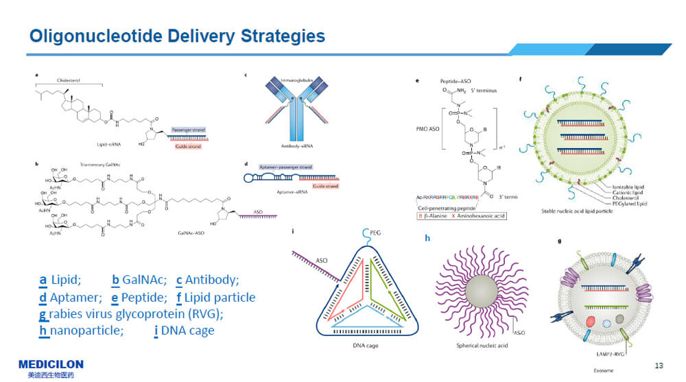 核酸藥物的遞送係統.jpg