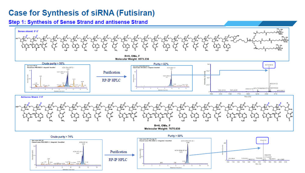 這是一個合成siRNA的例子.jpg
