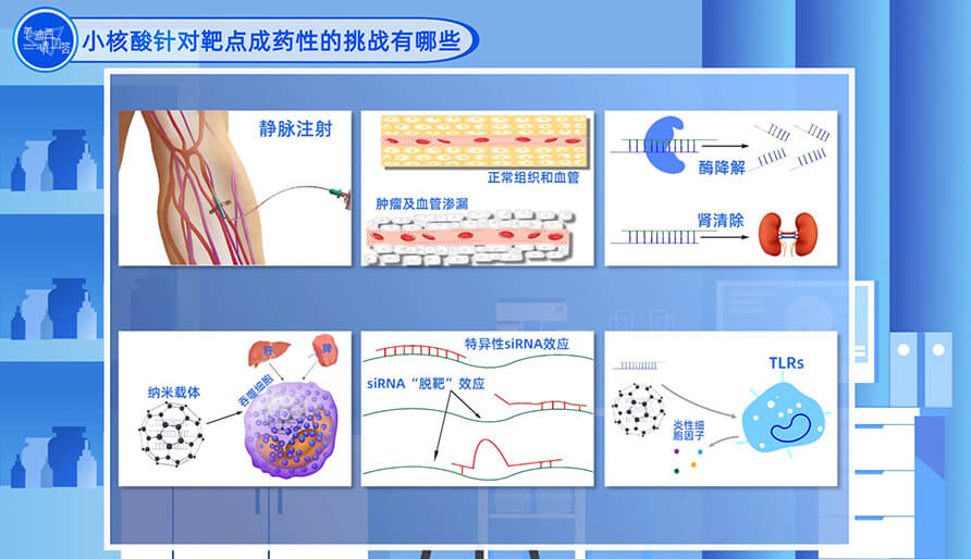 小核酸針對靶點成藥性的挑戰有哪些？