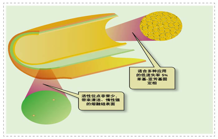 圖3-管壁塗漬開口柱內表麵未完全屏蔽的活性位點.jpg