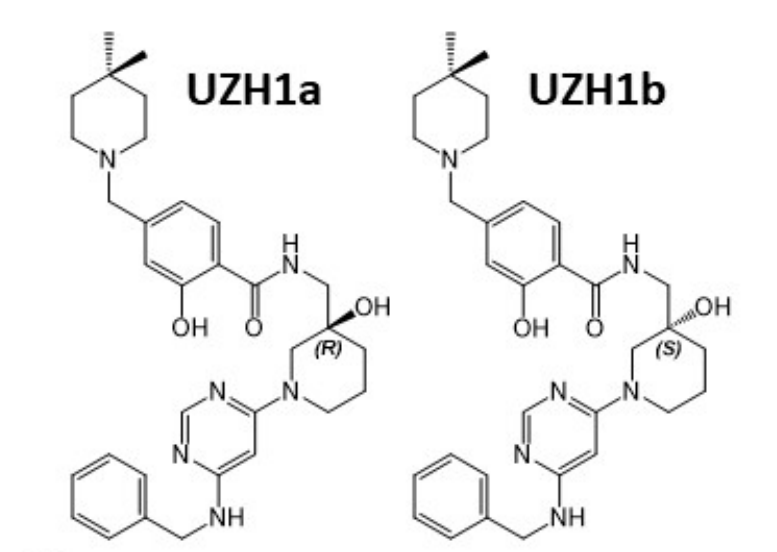 研究人員報告了一種具有細胞滲透性的選擇性METTL3納摩爾抑製劑UZH1a，作者感謝hjc黄金城合成了UZH1a和UZH1b