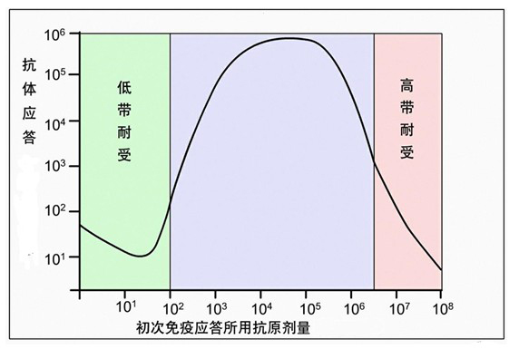 Figure-2-免疫應答產生抗體依賴於初次免疫應答所用抗原劑量.jpg