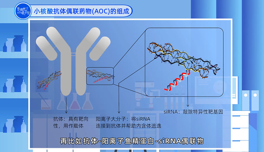 小核酸抗體偶聯藥物（AOC）的組成