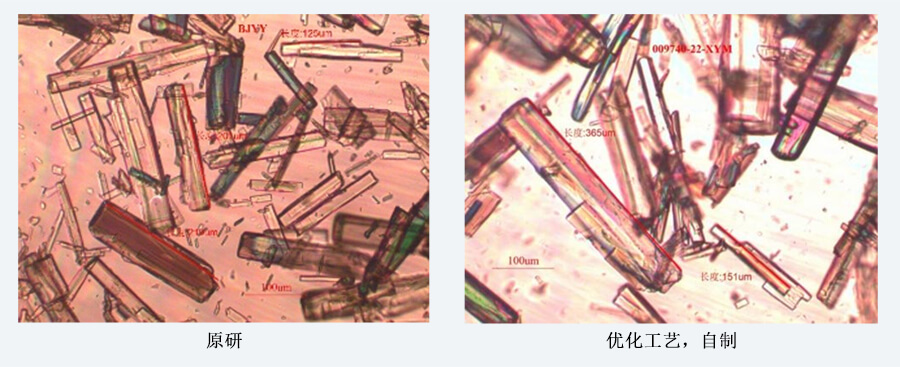 04案例分享-結晶工藝開發（製備結晶態）.jpg