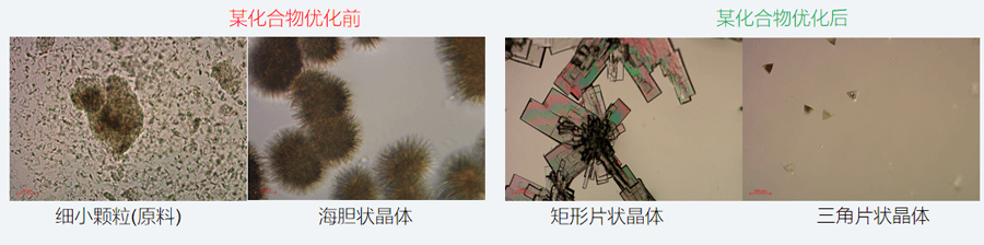 05案例分享-單晶培養，改變晶習.png