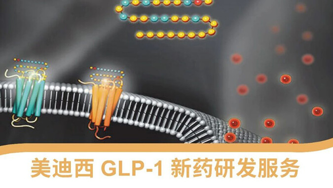 glp-1 新藥研發技術服務平台.jpg