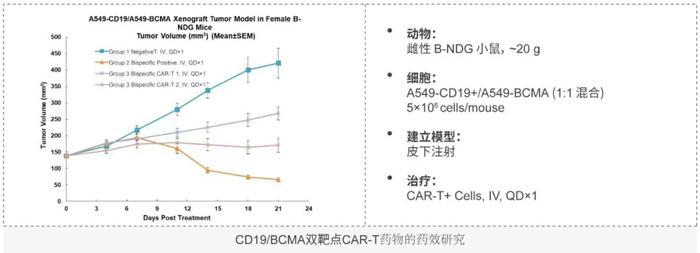 CD19-BCMA雙靶點CAR-T案例分享.jpg