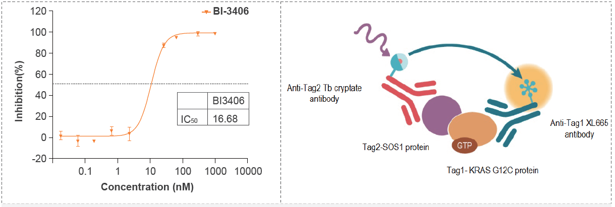 Kras G12C-SOS1結合的IC50活性測試篩選試驗化合物.png