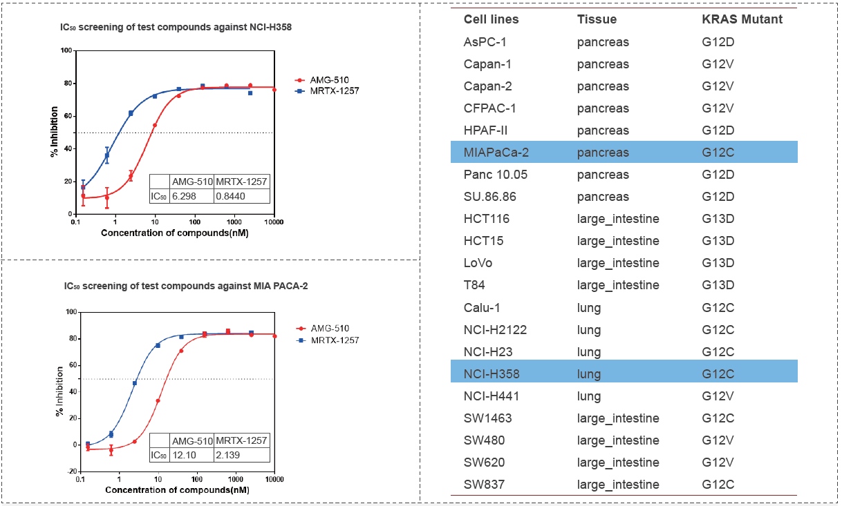 通過CellTiter-Glo檢測2D細胞增殖試驗.png