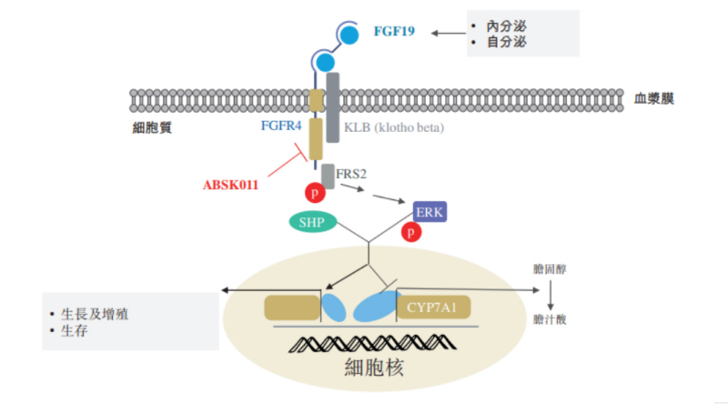 圖源：公開資料.jpg