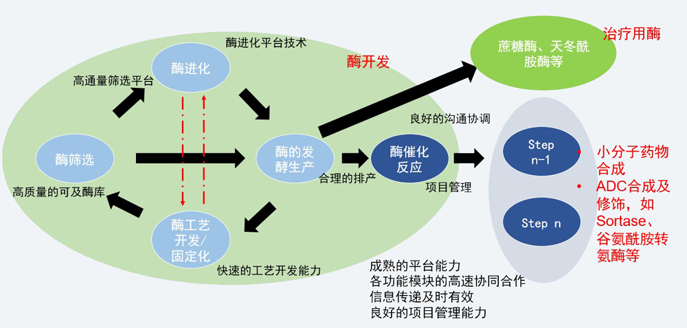 酶催化服務平台.jpg