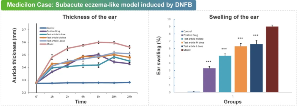 08 DNFB誘導的亞急性濕疹樣模型.jpg