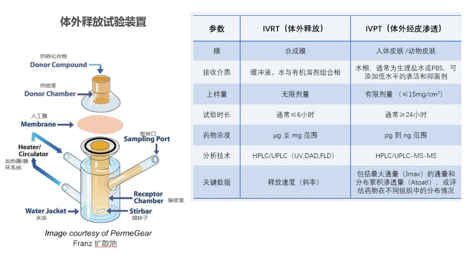 IVRT（體外釋放）及IVPT（體外滲透）研究.jpg