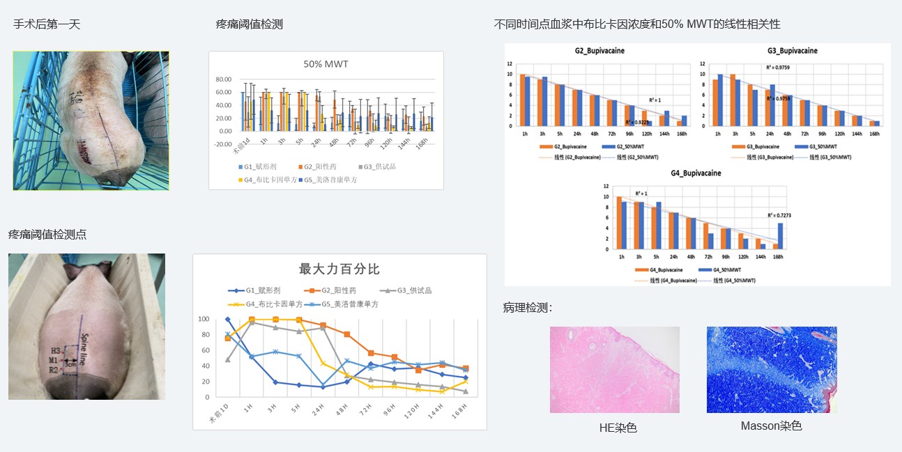 案例1：複方製劑對巴馬小型豬術後急性疼痛模型的鎮痛試驗.jpg