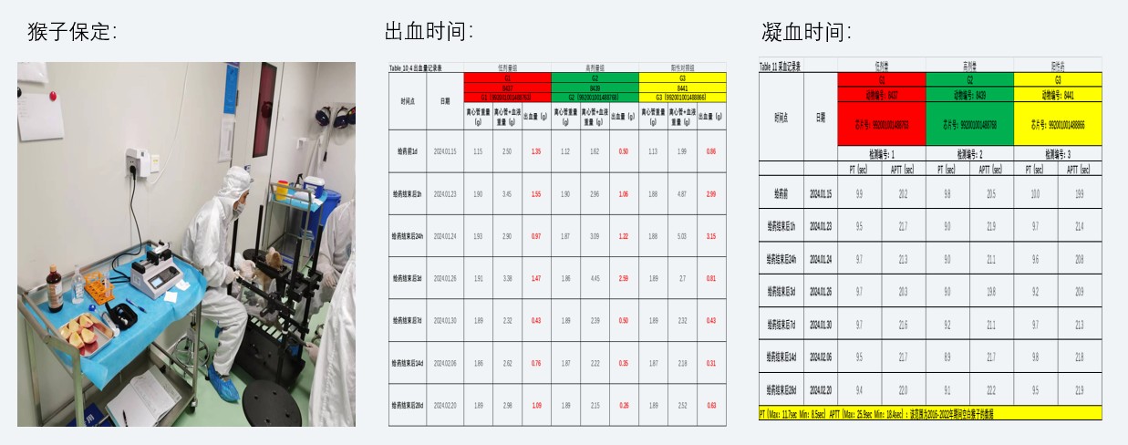 案例2：小分子抗凝藥對食蟹猴出凝血功能影響.jpg