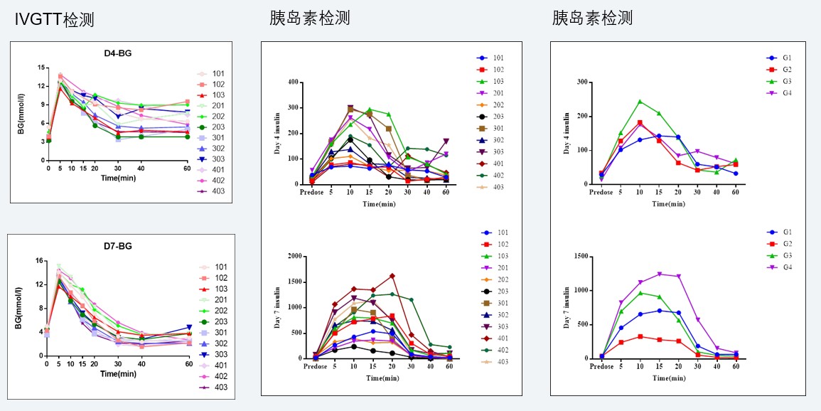 案例4：食蟹猴IVGTT和胰島素檢測實驗.jpg